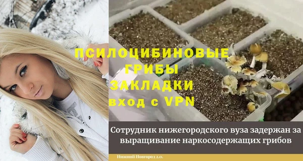 сатива Елизово