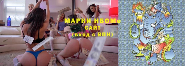 сатива Елизово