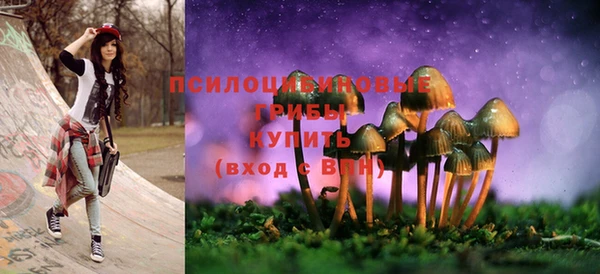 сатива Елизово