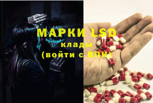 сатива Елизово