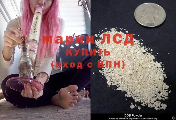 сатива Елизово