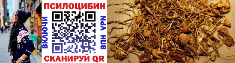 Псилоцибиновые грибы Cubensis  Купить закладки  Слюдянка 